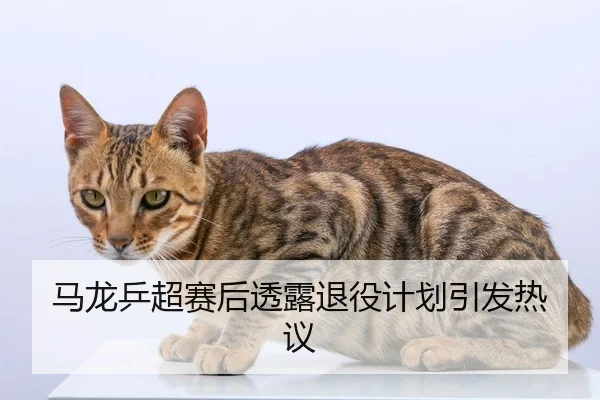 ma-long-ping-chao-sai-hou-tou-lu-tui-yi-ji-hua-yin-fa-re-yi-2-142.jpg